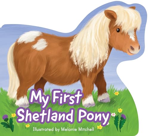 My First Shetland Pony (Picture Kelpies) von Kelpies