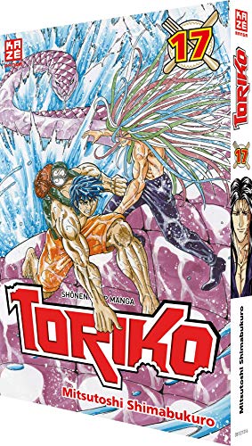 Toriko 17