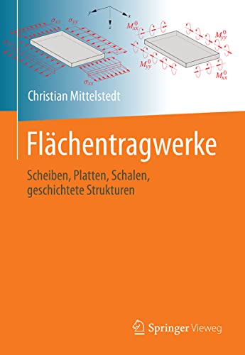 Flächentragwerke: Scheiben, Platten, Schalen, geschichtete Strukturen von Springer
