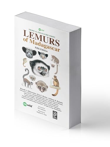 Lemurs of Madagascar von LYNX EDICIONS
