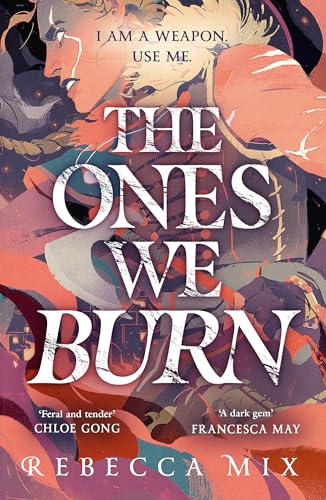 The Ones We Burn: the New York Times bestselling dark epic young adult fantasy von Hodderscape