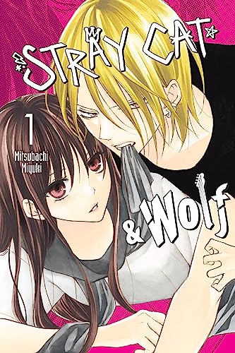 Stray Cat & Wolf, Vol. 1: Volume 1 (STRAY CAT & WOLF GN) von Yen Press