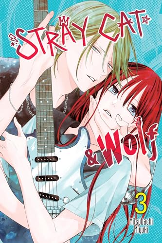 Stray Cat & Wolf, Vol. 3: Volume 3 (STRAY CAT & WOLF GN)