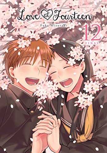 Love at Fourteen, Vol. 12: Volume 12 (LOVE AT FOURTEEN GN)