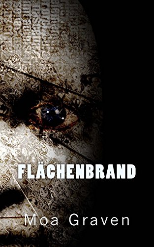 Flaechenbrand: Profiler Jan Krömer Band 5 (Jan Krömer Krimi-Reihe, Band 5)