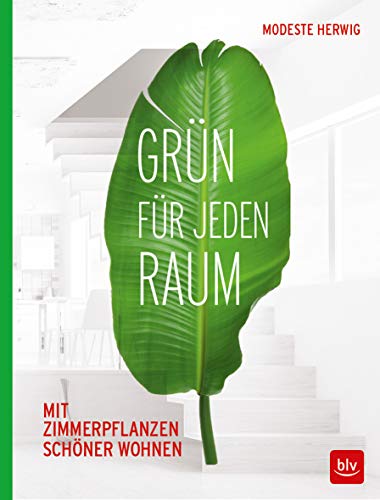 Grün für jeden Raum: Mit Zimmerpflanzen schöner wohnen