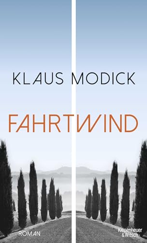 Fahrtwind: Roman