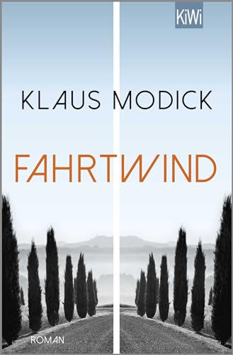 Fahrtwind: Roman