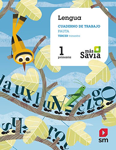 Cuaderno de lengua, Pauta. 1 Primaria, 3 Trimestre. Más Savia: Cuaderno de lengua 1 Tercer trimestre von EDICIONES SM