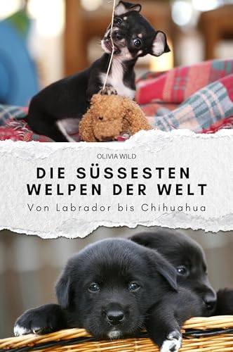 Die süßesten Welpen der Welt: Von Labrador bis Chihuahua. Das perfekte Geschenk für Männer und Frauen zu Weihnachten und Geburtstag von FlipFlop