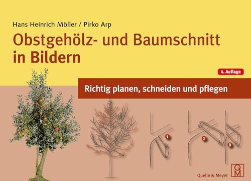 Obstgehölz- und Baumschnitt in Bildern: Richtig planen, schneiden und pflegen von Quelle + Meyer