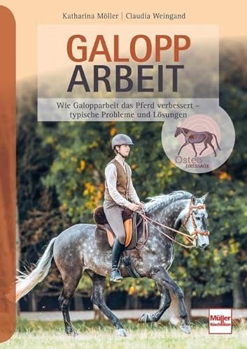 Galopparbeit: Wie Galopparbeit das Pferd verbessert - typische Probleme und Lösungen Galopparbeit: Wie Galopparbeit das Pferd verbessert - typische Probleme und Lösungen