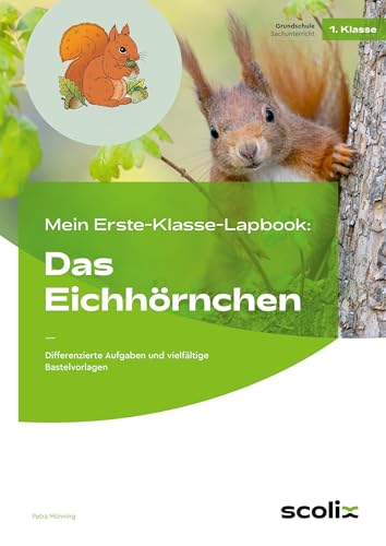 Mein Erste-Klasse-Lapbook: Das Eichhörnchen: Differenzierte Aufgaben und vielfältige Bastelvorlagen (Lernen mit Lapbooks - Grundschule) von scolix in der AAP Lehrerwelt GmbH