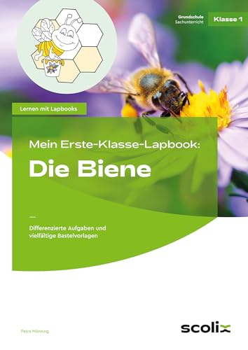 Mein Erste-Klasse-Lapbook: Die Biene: Differenzierte Aufgaben und vielfältige Bastelvorlagen (Lernen mit Lapbooks - Grundschule) von scolix in der AAP Lehrerwelt GmbH