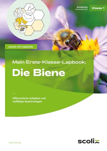 Mein Erste-Klasse-Lapbook: Die Biene: Differenzierte Aufgaben und vielfältige Bastelvorlagen (Lernen mit Lapbooks - Grundschule) von scolix in der AAP Lehrerwelt GmbH