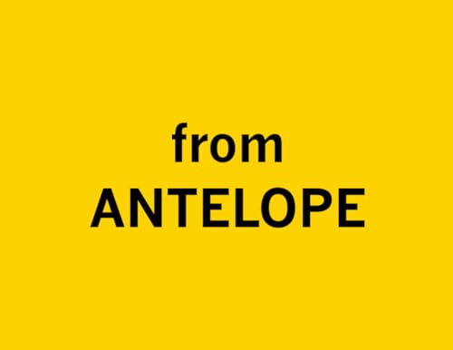 From Antelope Do Zona: A Croatian-English ABC Adventure (Bilingual Kids Books – Croatian & English) von Mowenstein Books LLC