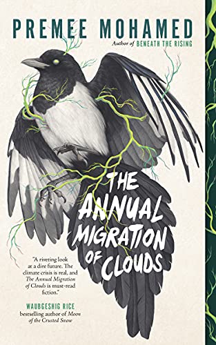 The Annual Migration of Clouds von ECW PR