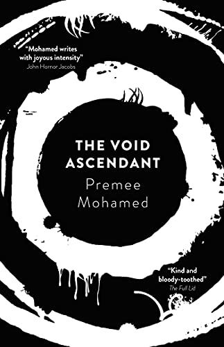 The Void Ascendant (Volume 3) (Beneath the Rising, Band 3) von Solaris