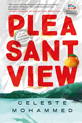 Pleasantview (Jacaranda) von Jacaranda Books