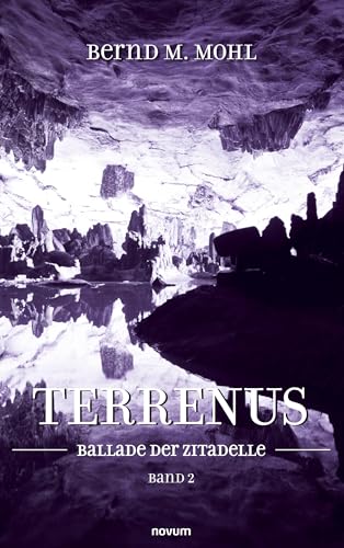 Terrenus: Ballade der Zitadelle Band 2 von novum pro