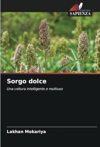 Sorgo dolce: Una coltura intelligente e multiuso