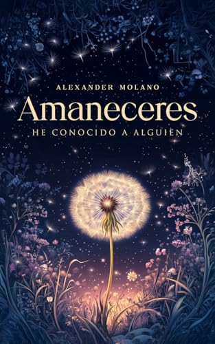 AMANECERES: He conocido a alguien von Panda Publishing Agency