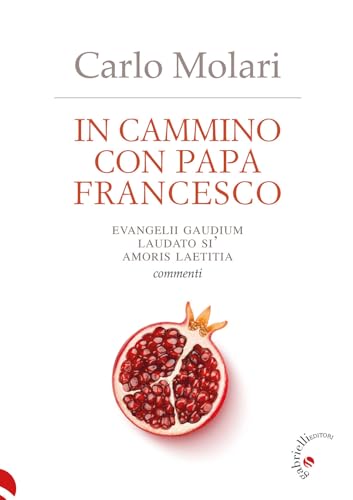 In cammino con papa Francesco. Evangelii Gaudium, Laudato si', Amoris laetitia. Commenti von Gabrielli Editori