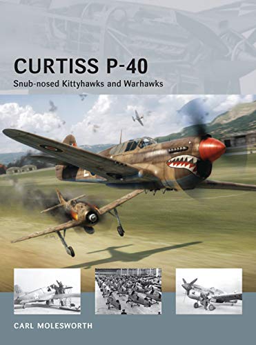 Curtiss P-40: Snub-nosed Kittyhawks and Warhawks (Air Vanguard, Band 11)