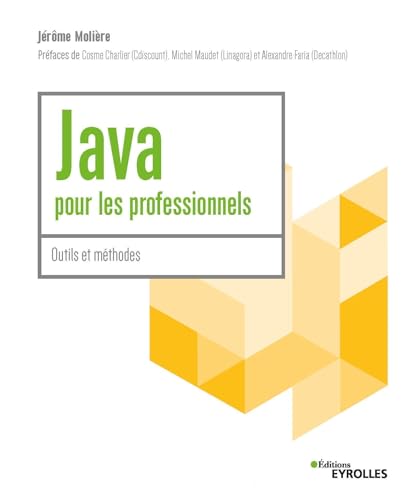 Java pour les professionnels: Outils et méthodes von EYROLLES
