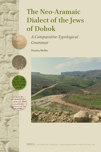 The Neo-aramaic Dialect of the Jews of Dohok: A Comparative-typological Grammar (Studies in Semitic Languages and Linguistics, 112) von Brill Academic Pub