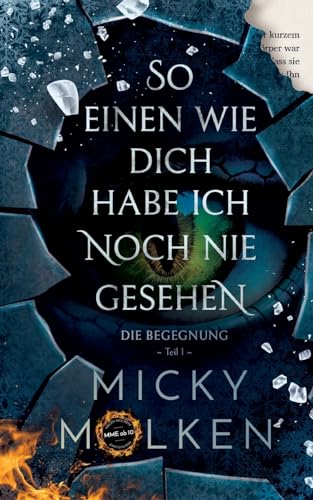 So einen wie dich habe ich noch nie gesehen: Die Begegnung
