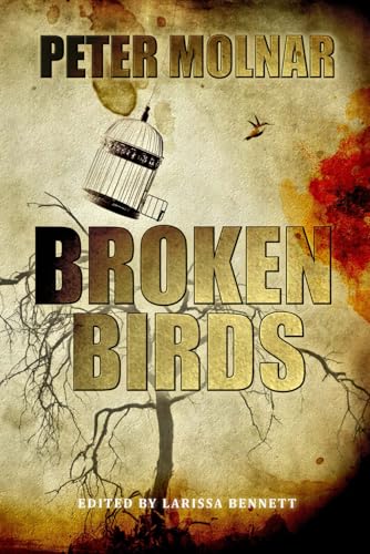 Broken Birds von Independently published