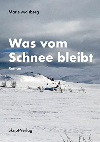 Was vom Schnee bleibt: Roman von skript-Verlag