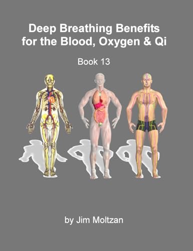 Book 13-Deep Breathing Benefits for the Blood, Oxygen & Qi (Health and Wellness Study Guides Using Eastern Practices From Martial Arts, Yoga and Qigong, Band 13) von CAD Graphics