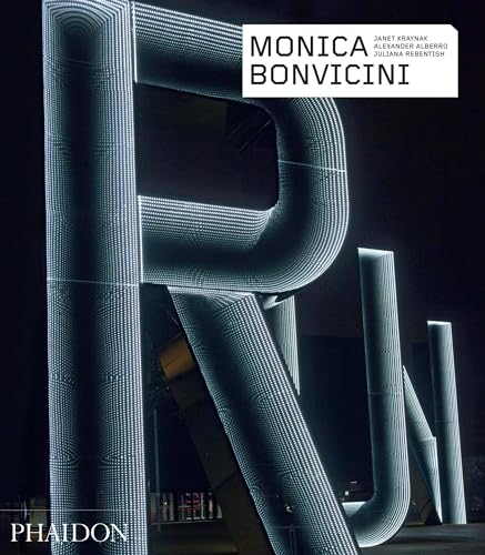 Monica Bonvicini (Phaidon Contemporary Artists Series) von PHAIDON