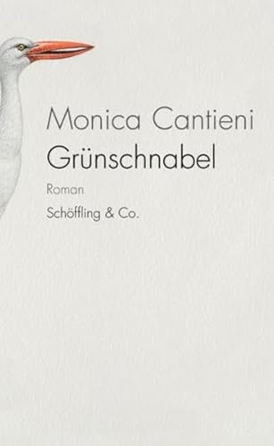 Grünschnabel: Roman