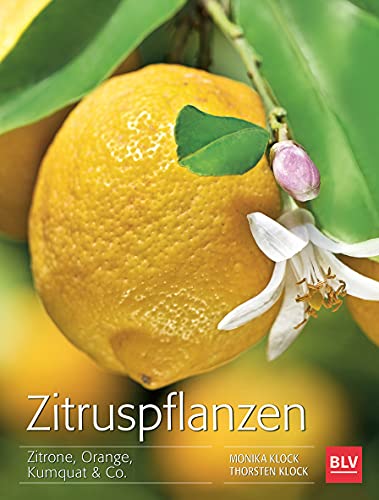 Zitruspflanzen: Zitrone, Orange, Kumquat & Co. (BLV Pflanzenpraxis) Zitruspflanzen: Zitrone, Orange, Kumquat & Co. (BLV Pflanzenpraxis) von Gräfe und Unzer