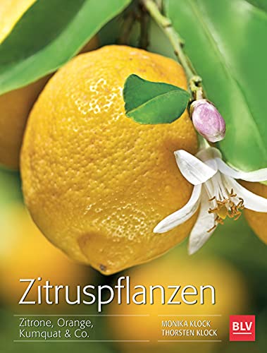Zitruspflanzen: Zitrone, Orange, Kumquat & Co. (BLV Pflanzenpraxis) von Gräfe und Unzer