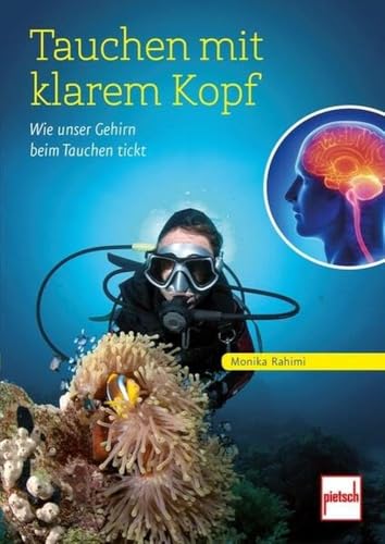 Tauchen mit klarem Kopf: Wie unser Gehirn beim Tauchen tickt