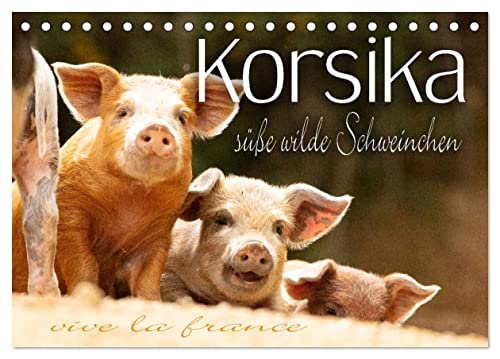 Korsika - süße, wilde Schweinchen (Tischkalender 2024 DIN A5 quer), CALVENDO Monatskalender von CALVENDO