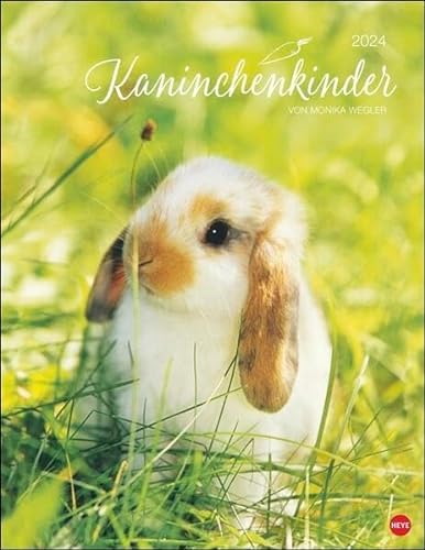 Kaninchenkinder Posterkalender 2024 von Monika Wegler. Ein bezaubernder Tierkalender mit süßen Fotos. Dekorativer Kalender für Tierfreunde. Hochformat 34 x 44 cm. von Heye