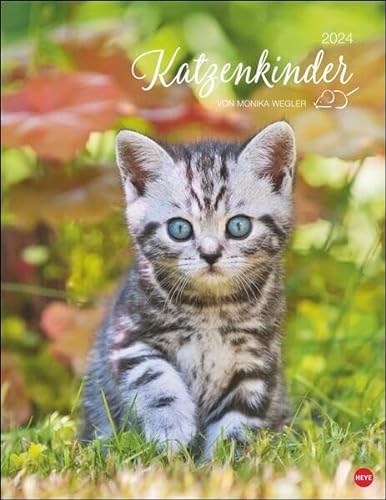 Katzenkinder Posterkalender 2024 von Monika Wegler. Unwiderstehliche Katzenbabys im Porträt. Ein großer Wandkalender mit vielen Fotos und Geschichten. Dekorativer Katzen-Kalender. von Heye