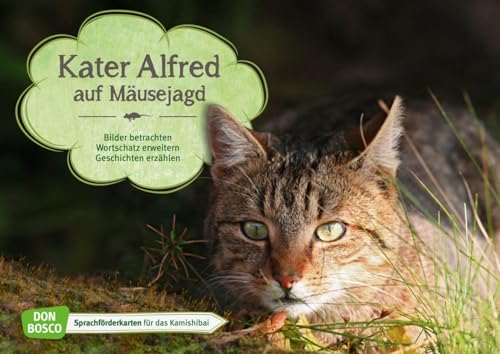 Kater Alfred auf Mäusejagd. Kamishibai Bildkartenset.: Bilder betrachten. Wortschatz erweitern. Geschichten erzählen: Sprachförderkarten für das ... für unser Erzähltheater Kamishibai)