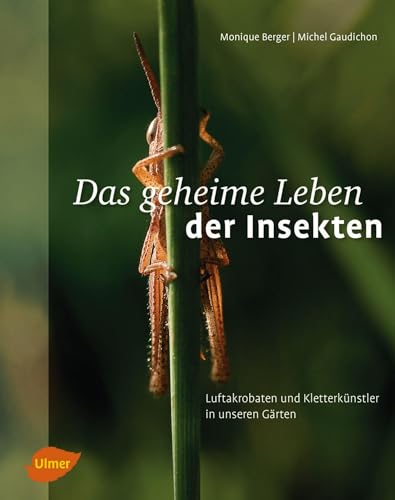 Das geheime Leben der Insekten: Luftakrobaten und Kletterkünstler in unseren Gärten