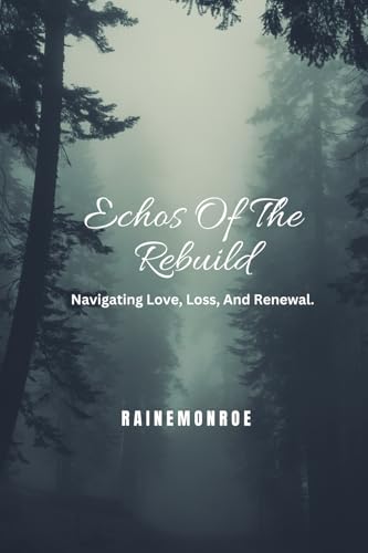Echos Of The Rebuild: Navigating Love, Loss, And Renewal von Bookllo Publishing