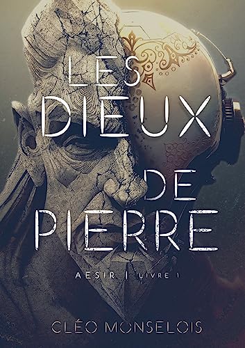 Les Dieux de Pierre: Aesir - Livre 1 von Books on Demand