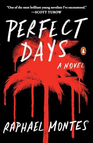 Perfect Days: A Novel von Random House Books for Young Readers