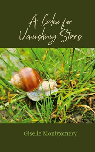 A Codex for Vanishing Stars von Creative Arts Management OÜ