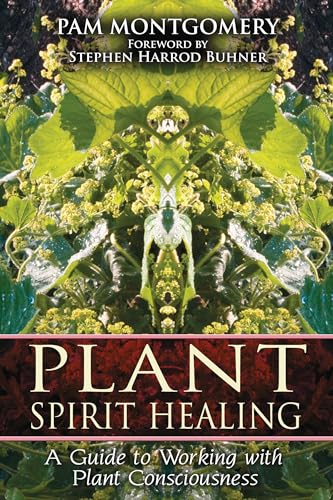 Plant Spirit Healing: A Guide to Working with Plant Consciousness