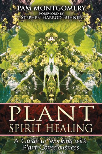 Plant Spirit Healing: A Guide to Working with Plant Consciousness von Simon & Schuster